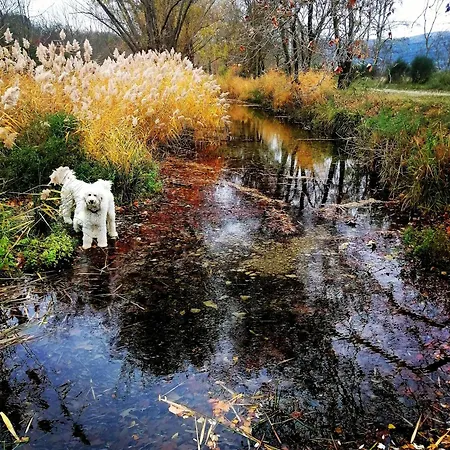 Le Beau Coin * Servies-en-Val